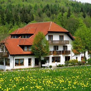 Rhoen-Hotel Sonnenhof - Restaurant & Cafe
